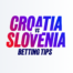 Croatia vs slovenia prediction: budimir to secure starting spot Croatiavsslovenia