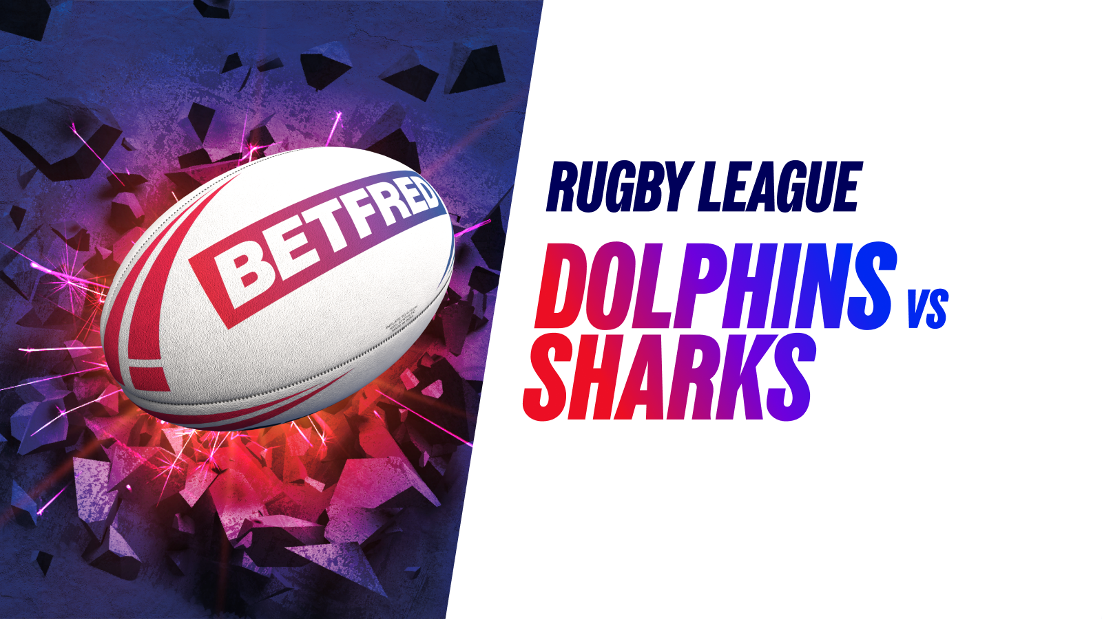 Dolphins vs sharks